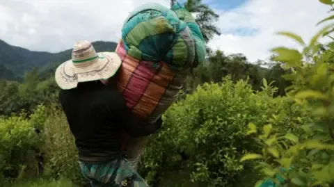 US Labels the South American Nation as Non-Cooperative in Drug War